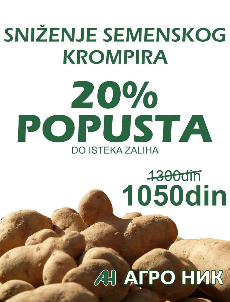 AKCIJA – 20% popusta na semenski krompir